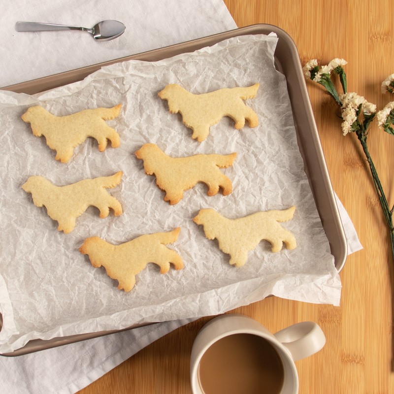 Show Cocker Spaniel Body Cookie Cutter dog portrait treats animal shelter rescue gallery