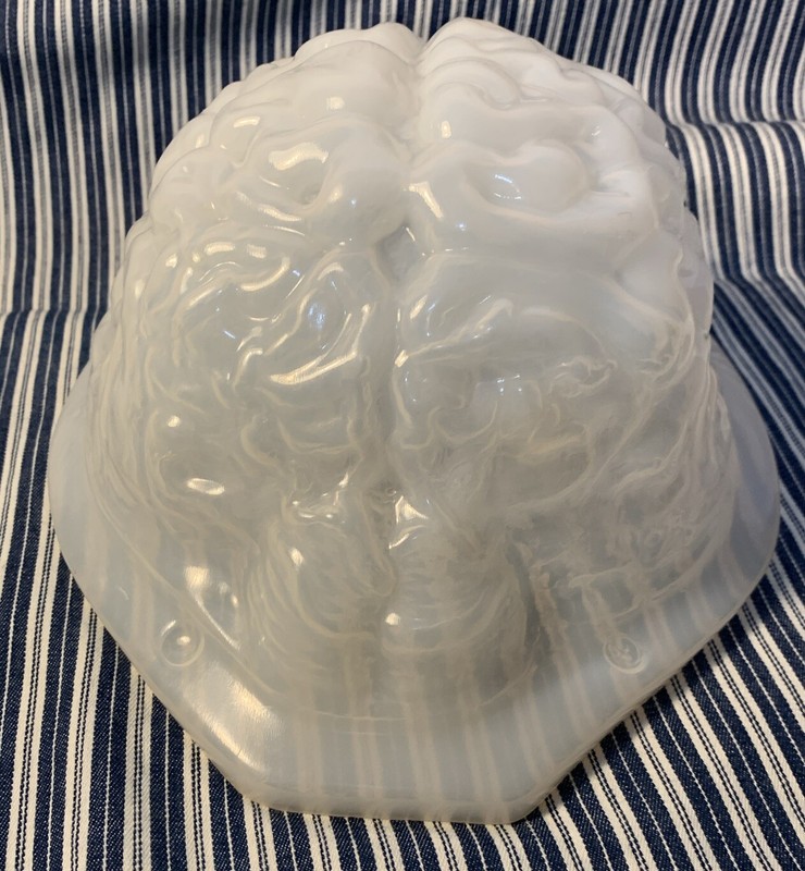 Plastic GELATIN BRAIN Shaped 3D MOLD Jello candy clay Halloween Zombie gallery