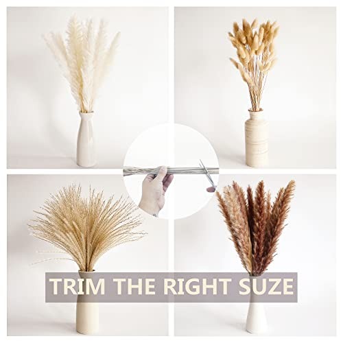 PCS Small Boho Pampas Grass, 17" Naturally Dried Pompas, Pampas Grass Decor 100 gallery