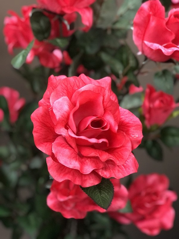 Amerique Gorgeous Unique 4.3 Feet Roses Leaves Artificial Tree Silk Plant Pre gallery