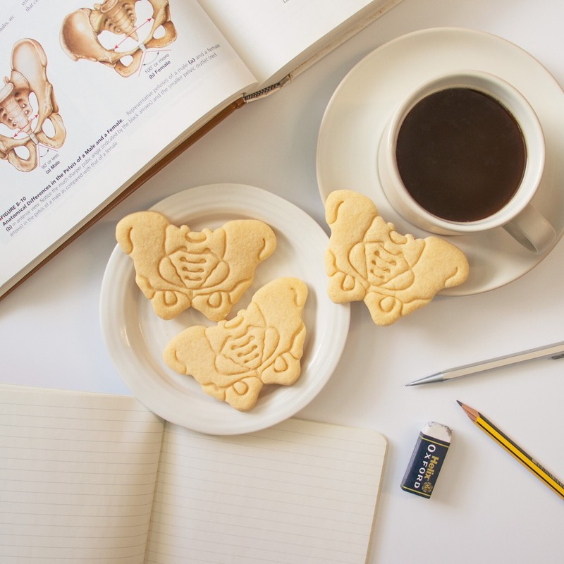 Female Pelvis Cookie Cutter - hip bone pelvic skeleton anatomy xray O&G doctor gallery
