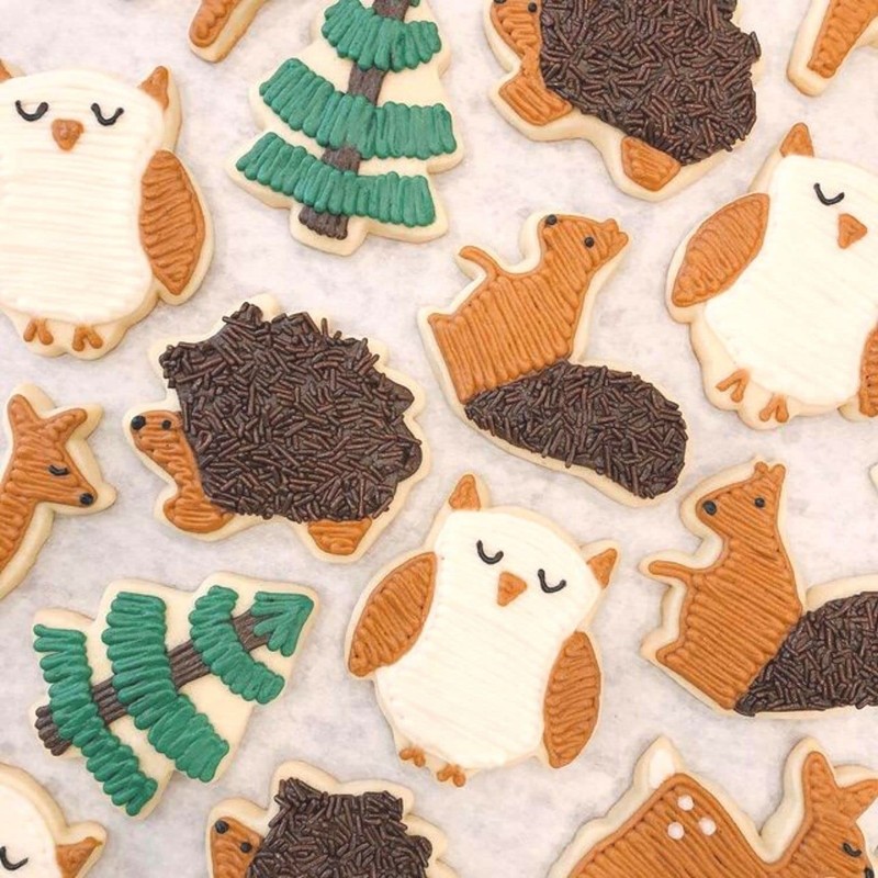 5 Pieces Animals Cookie Cutters Shapes for Baking Fox,Owl,Rabbit,Squirrel and... gallery