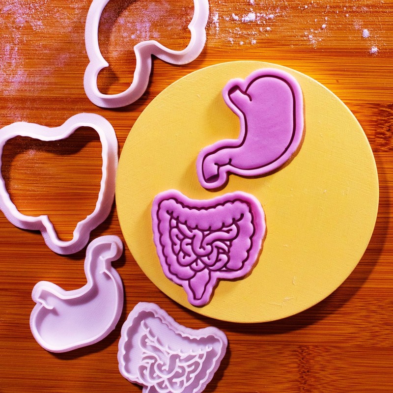 Stomach & Intestines Cookie Cutter + Stamp Set – Anatomy Medical theme Mold