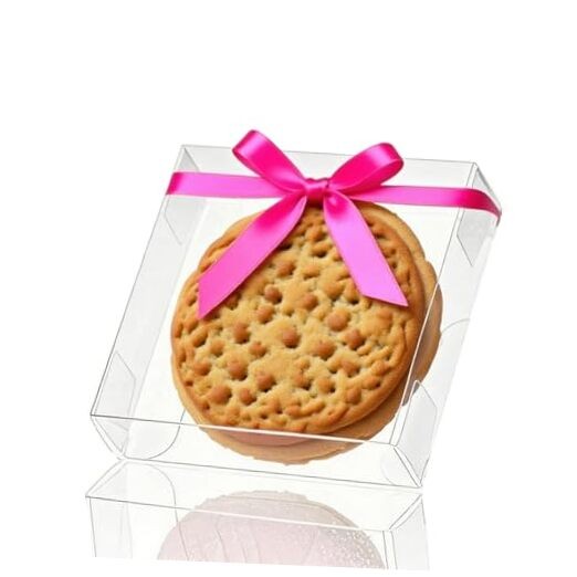 TEMLQPACK Pack 4x4x1.2inch Clear Single Cookies Boxes with 4″ x 4″ x 1.2″ 30