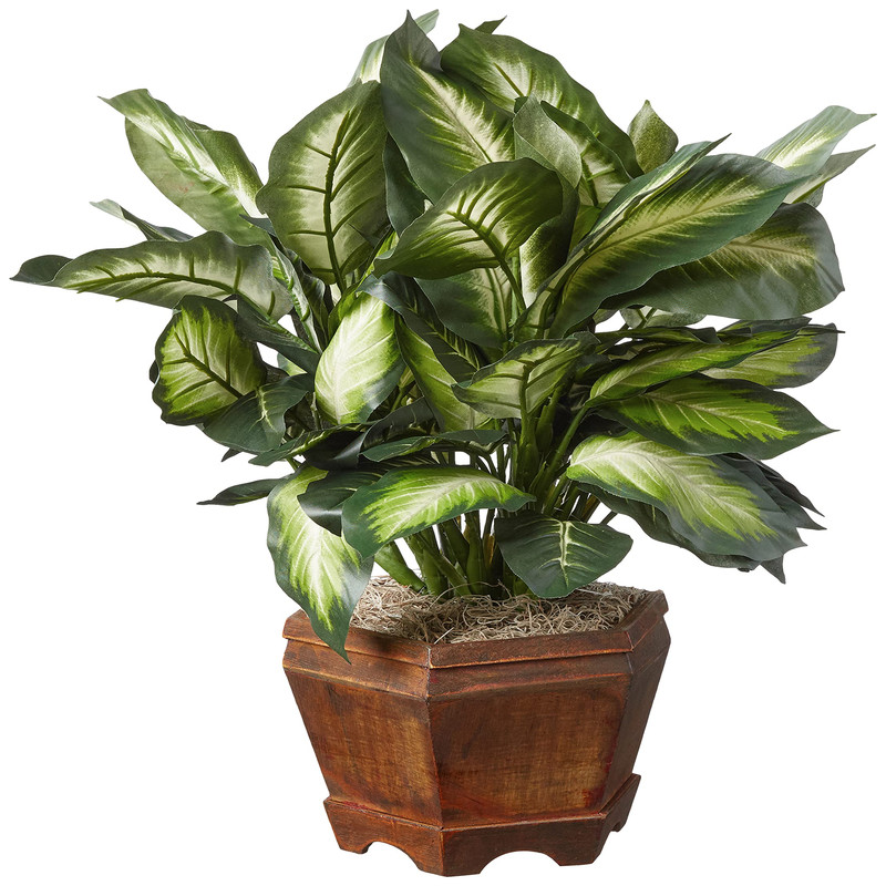 Nearly Natural 22In Artificial Triple Golden Dieffenbachia Plant Decorative