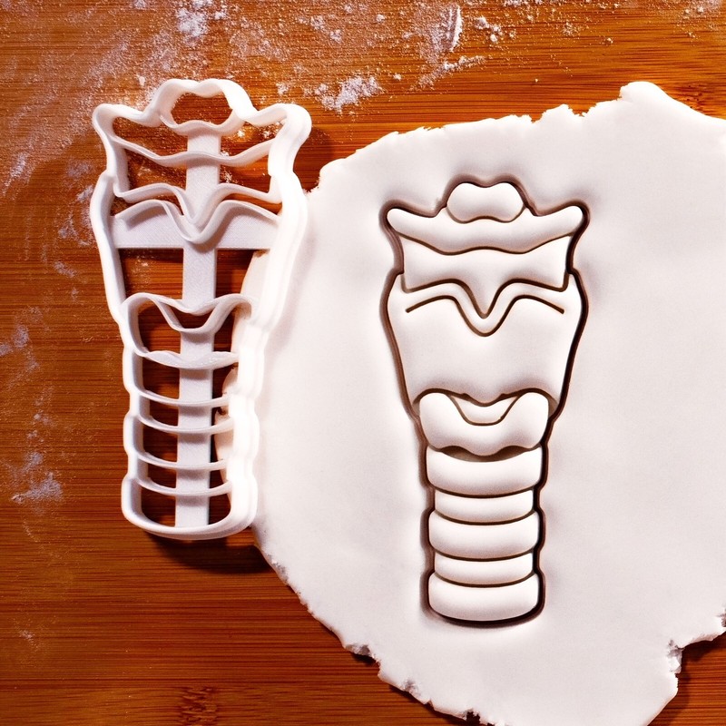 Set of 2 Larynx Cookie Cutters - anatomy intubation anesthesiology medical ENT gallery