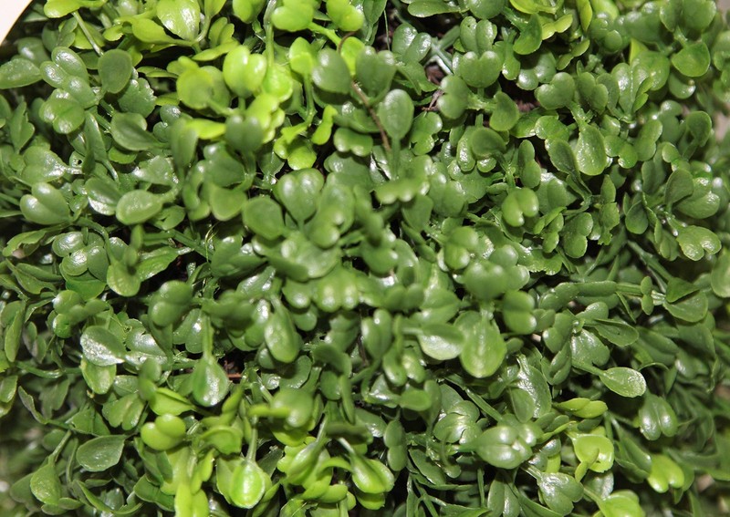 Admired By Nature 26 Artificial Topiary 2 Ball Shape Boxwood Topiary Planter - gallery