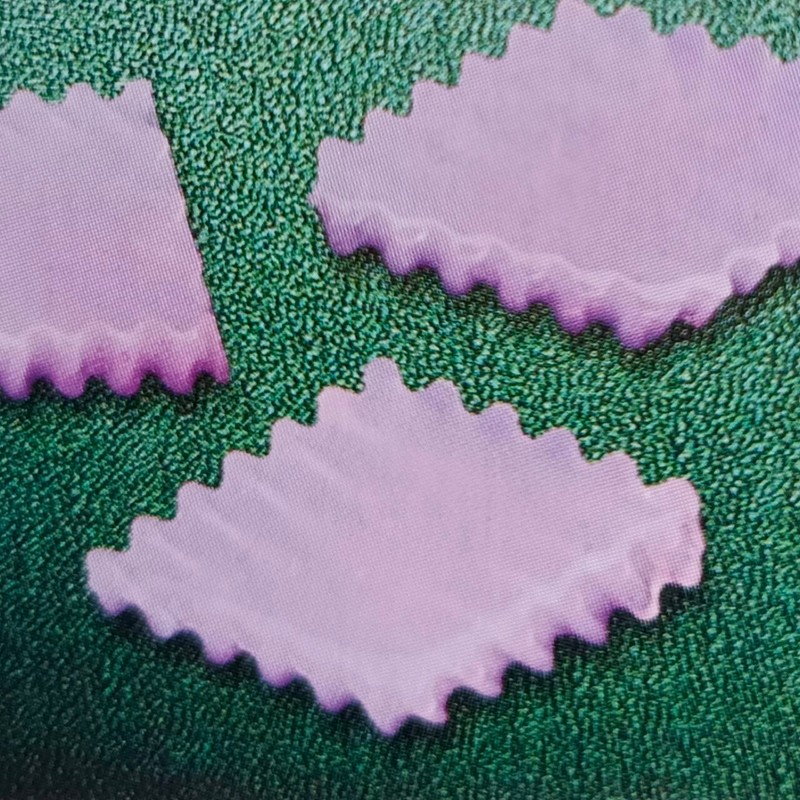 Plastic Jelly Knife Jelly Wave Rectangular Agar-Agar High Quality Plastic gallery