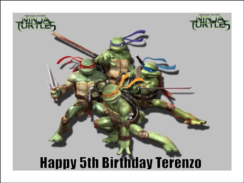 Teenage Mutant Ninja Turtle Edible Cake Topper Icing Cake Decorations (3 Sizes)