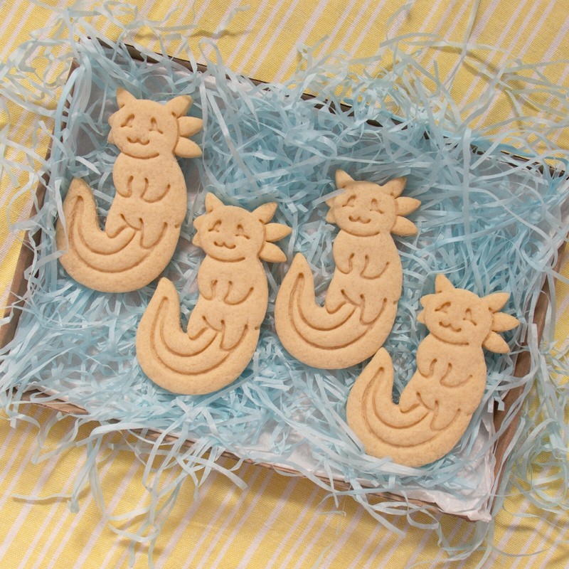 Cute Axolotl Cookie Cutter aquatic animal Walking Fish salamander amphibian pet gallery