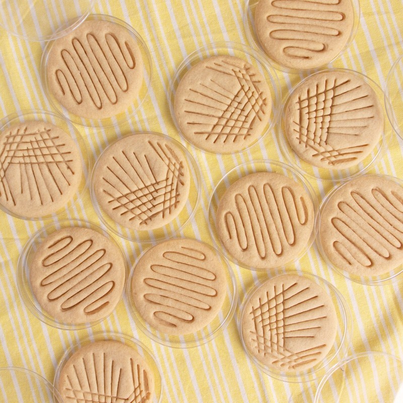 Set of 2 Petri Dish Cookie Cutters -Quadrant & Continuous Streak microbiology gallery