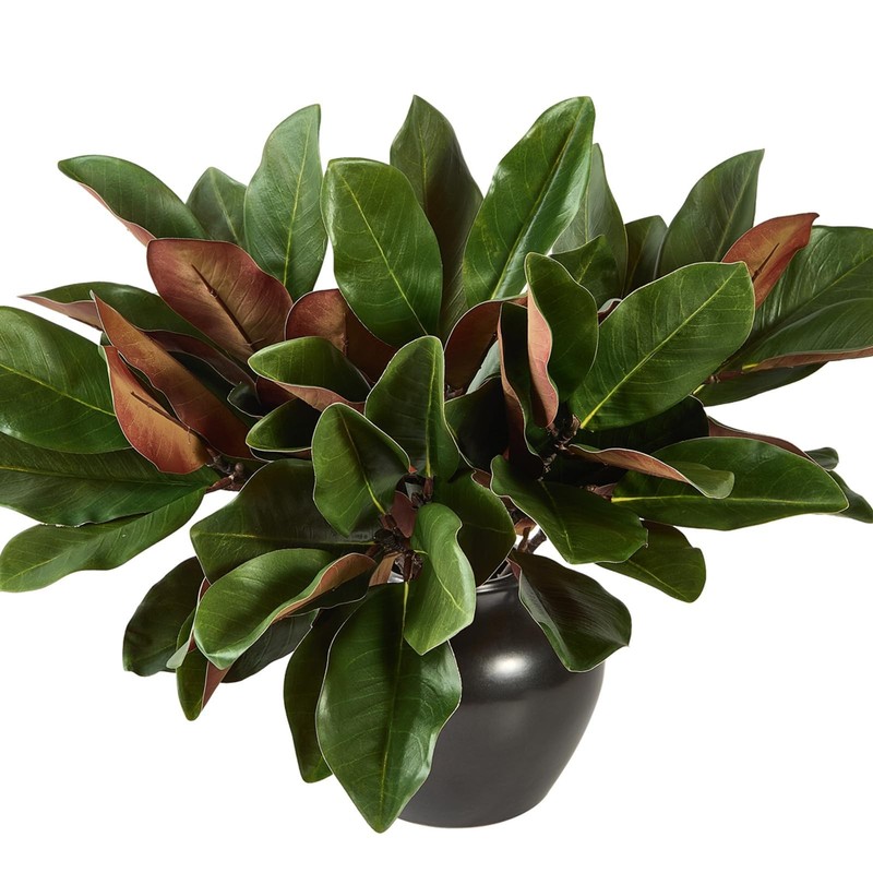 Obdxzhc 6 Pcs Magnolia Artificial Leaves Branches 22 Inch 3D Real Touch Faux gallery