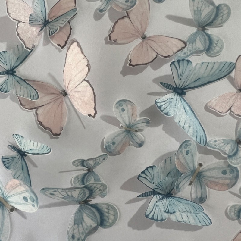 Pink & Blue Pre-cut Edible Wafer Butterflies