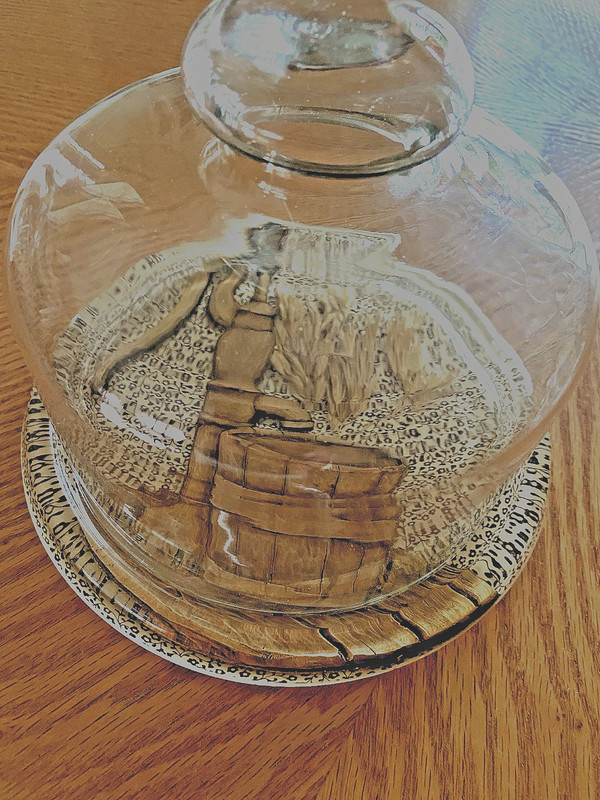 Cake /Cheese/ Appetizers Tray with Glass Dome For Serving Display SUPER CUTE! gallery