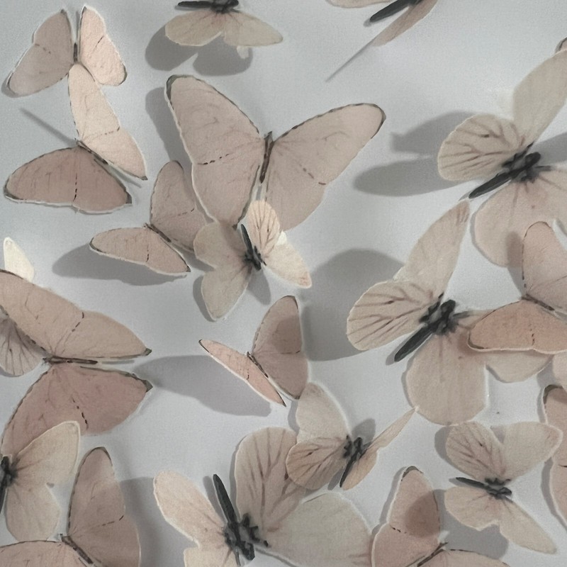 Pale Pink Pre-cut Edible Wafer Butterflies gallery