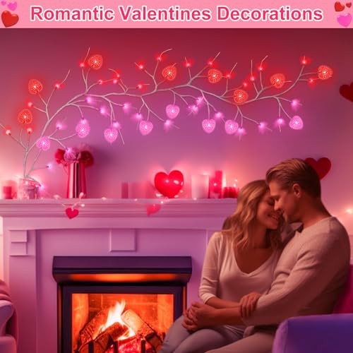 Dual Color & Timer 8 Modes - 6 FT 48 LED Prelit Lighted Christmas Valentines gallery