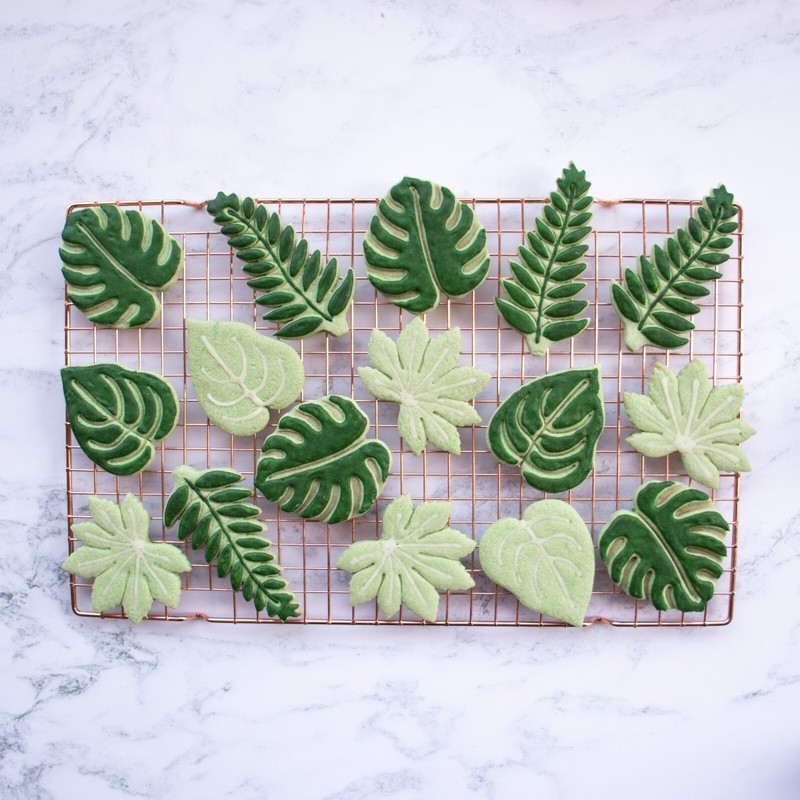 4 Garden Leaf Cookie Cutters - Monstera, Devils Ivy, Fern, Japanese Aralia Plant gallery