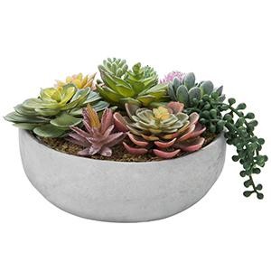 My 8 Inch Round Modern Artificial Succulent Arranment Potted in Gray gallery