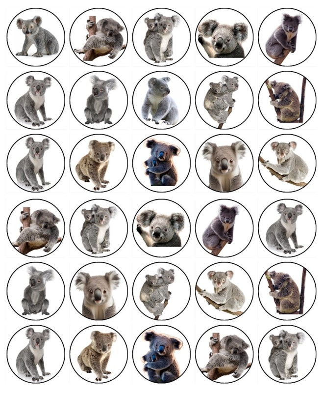 Koala Bear Edible Cake Topper Wafer Birthday Cake Animal Decorations (3 Sizes) gallery