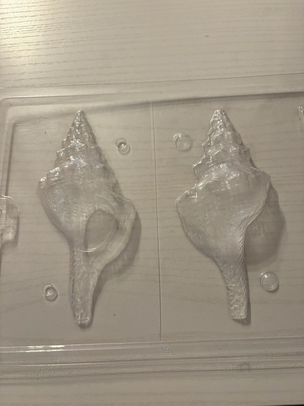 Lg 2 Piece Sea Shell Chocolate Mold Free Shipping!