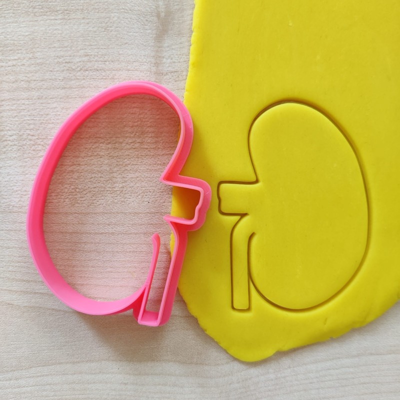 Anatomy Cookie Cutter Set, Medical Student Gift, Halloween Biscuit Stamp Stencil gallery
