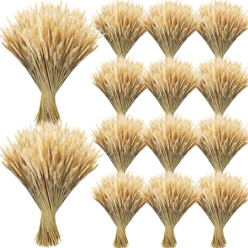 Geosar 1600 Stems Dried Wheat Stalks For Decor Natural Wheat Grass Sheaves