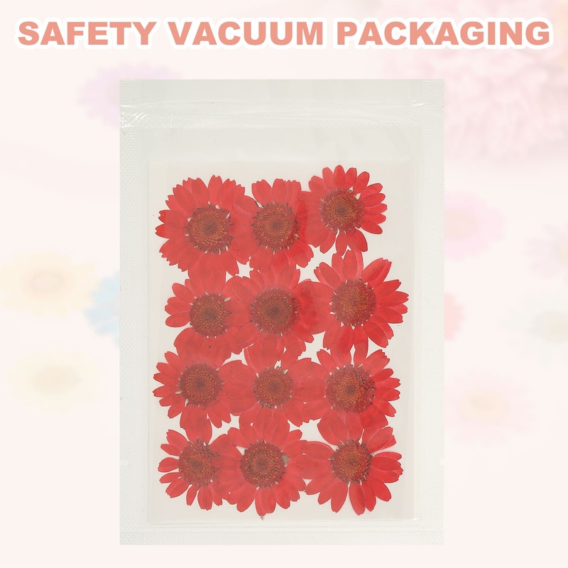 12Pcs Dried Pressed Flowers, Chrysanthemum Flowers for Nail Art, Light Green gallery