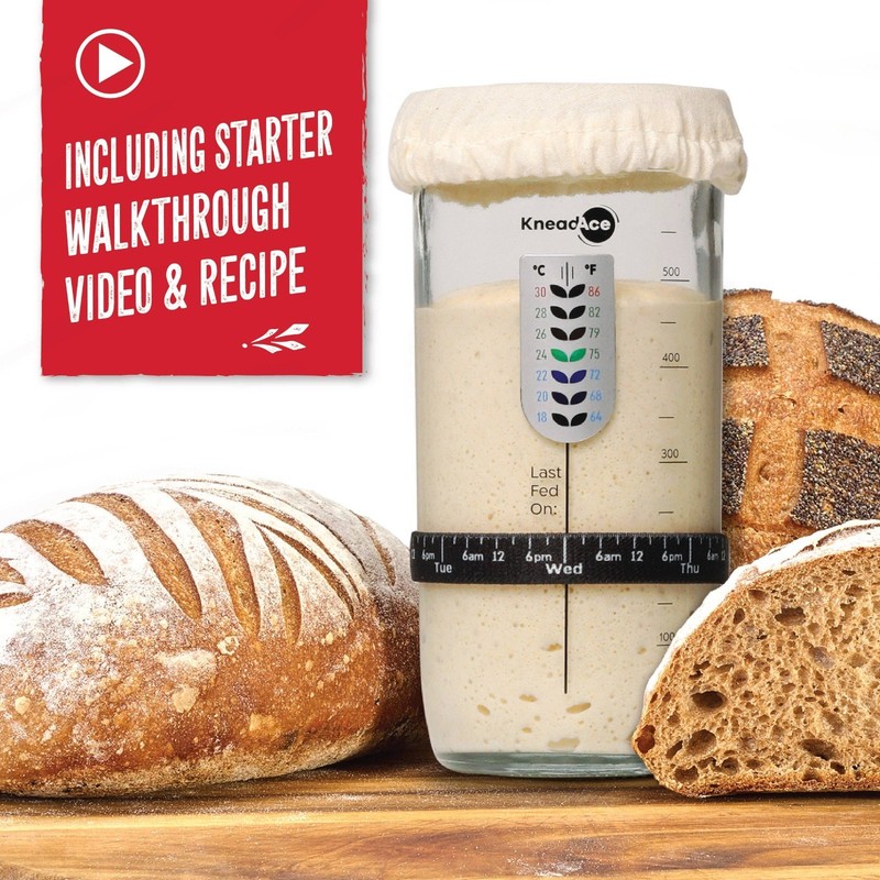 KneadAce 24oz Sour Dough Starter Jar & Kit NEW & SEALED Great Starter Set! gallery