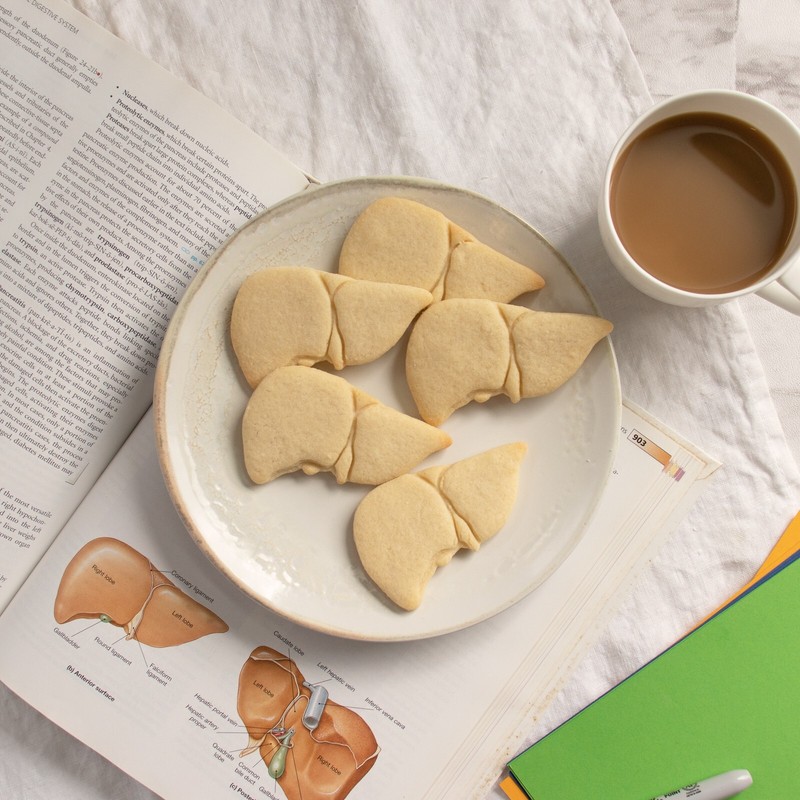 Liver Cookie Cutter - anatomy medical doctor macabre organ hepatitis biology gallery