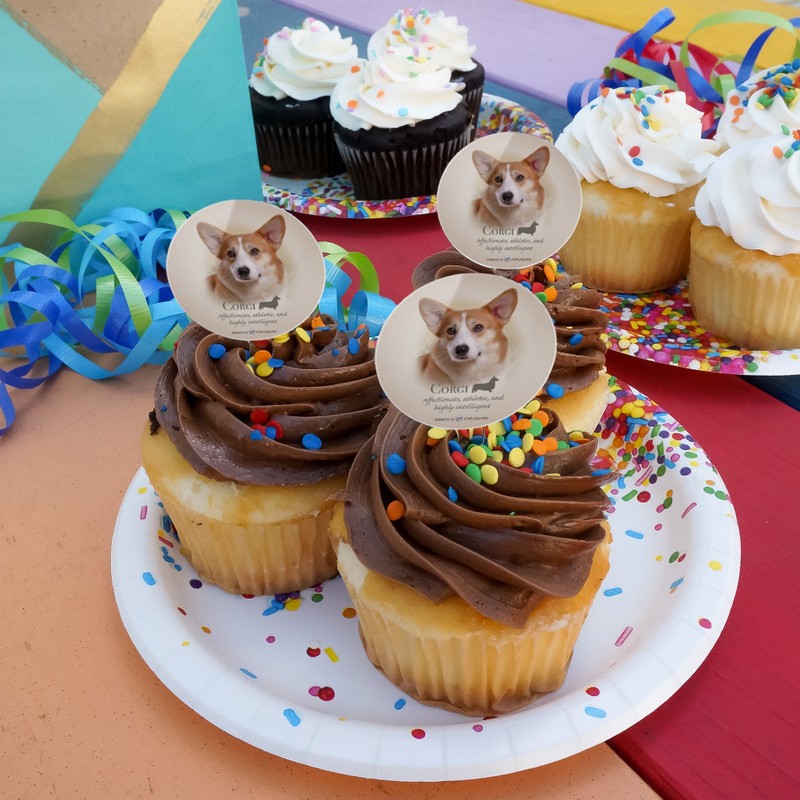 Corgi Dog Breed Cupcake Picks Toppers Decoration Set of 6 gallery