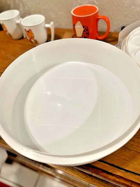 Mainstay 4 in 1 - Carrier with Lid - Cupcakes, Deviled Eggs, Pies & Cakes gallery