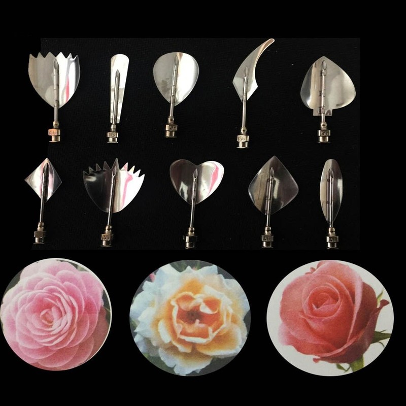 11pcs/Set Jelly Art Jello 3D Cake Syringe Decor Tools Gracilaria Needles Gelatin