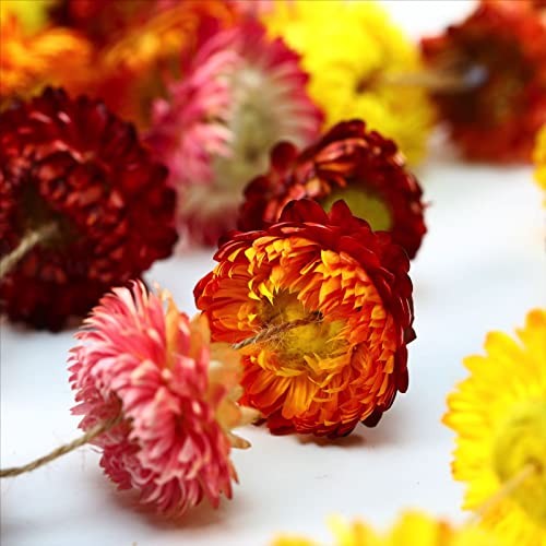 Christmas Decorations - 6.6ft Dried Flowers Garland Real Daisy Sunflower gallery
