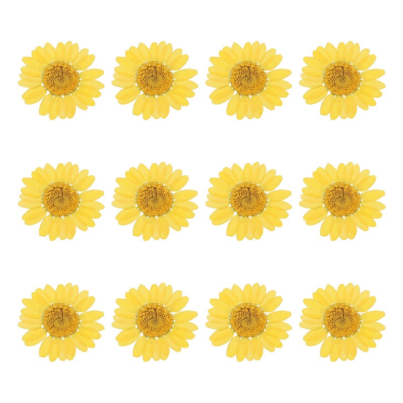 12Pcs Dried Pressed Flowers, Chrysanthemum Flowers for Nail Art, Light Yellow