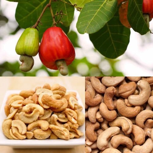 50g CASHEW NUT Dehydrated whole Ceylon fresh taste premium quality natural nut