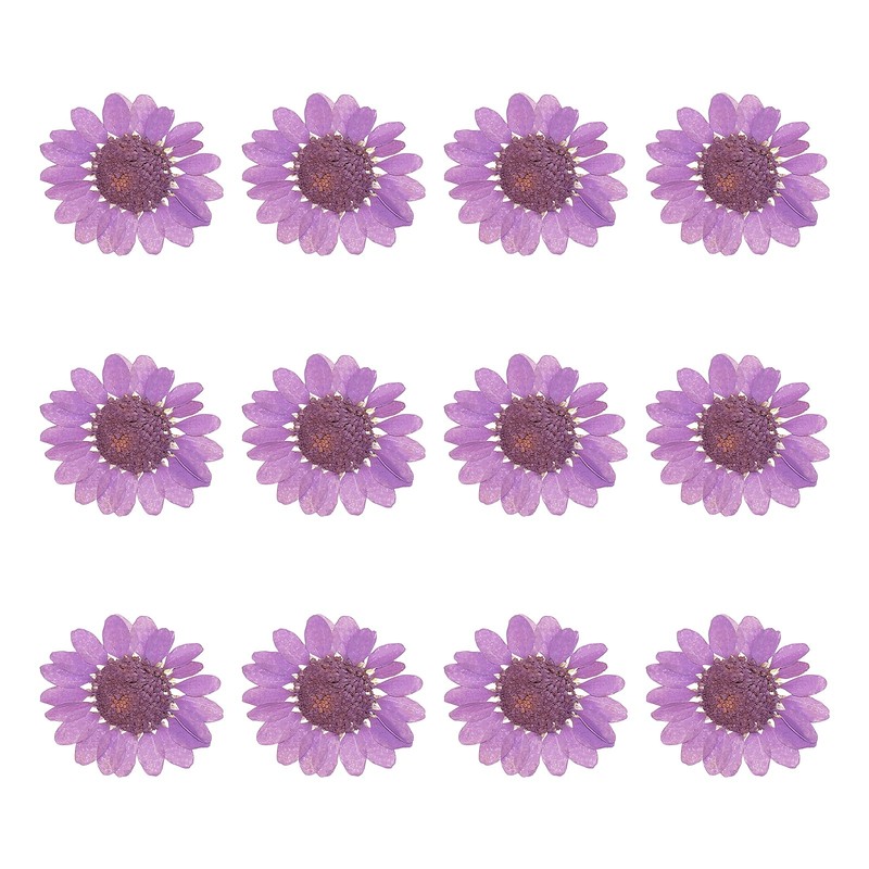 12Pcs Dried Pressed Flowers, Chrysanthemum Flowers for Nail Art, Dark Purple