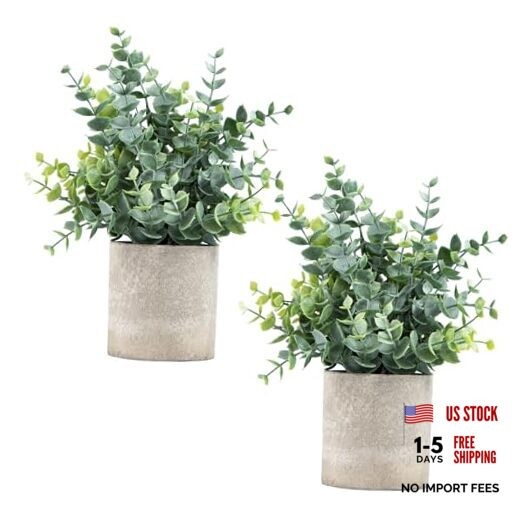 Pack Small Fake Plants Eucalyptus Potted Artificial Plants 2 Sage Green-small