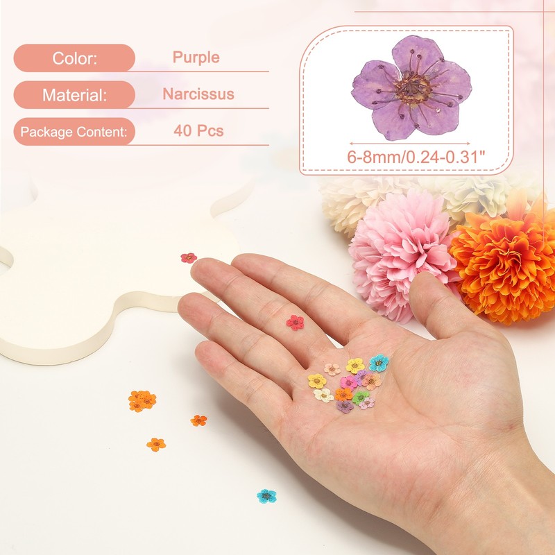 40Pcs Dried Pressed Flowers, Narcissus Flowers for Nail Art, Purple gallery