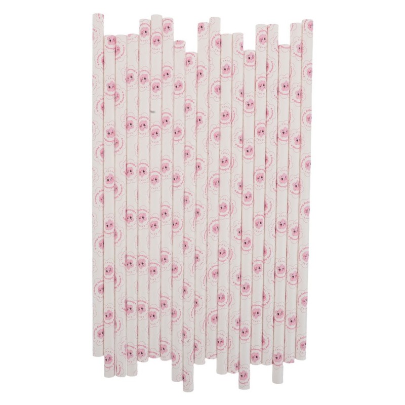 50 Pcs Candy Floss Sticks Lollipop Paper Holder Wands Cotton Cone Holders gallery