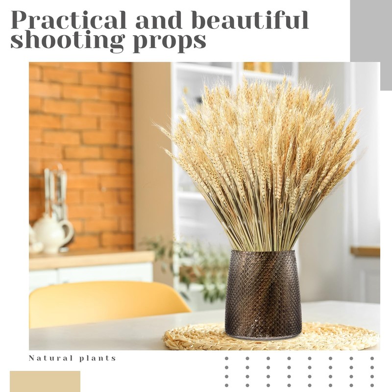 Geosar 1600 Stems Dried Wheat Stalks For Decor Natural Wheat Grass Sheaves gallery