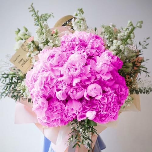 5pcs Hydrangea Artificial Flowers Real Touch 20 inch Lifelike Dark Fuchsia gallery