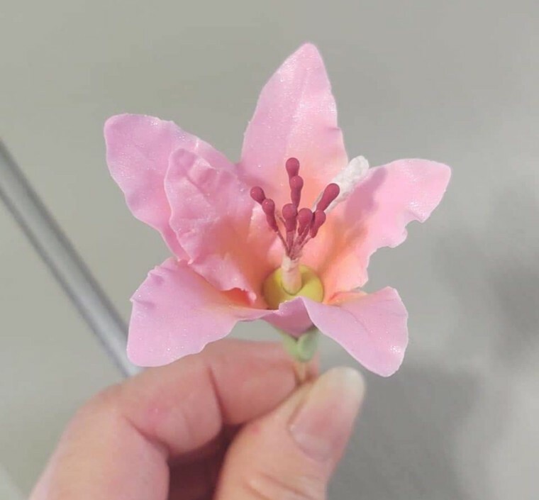 6 GUM PASTE FLOWERS & LEAVES: Choose Your Color(s) - Decorate your Own Cakes gallery