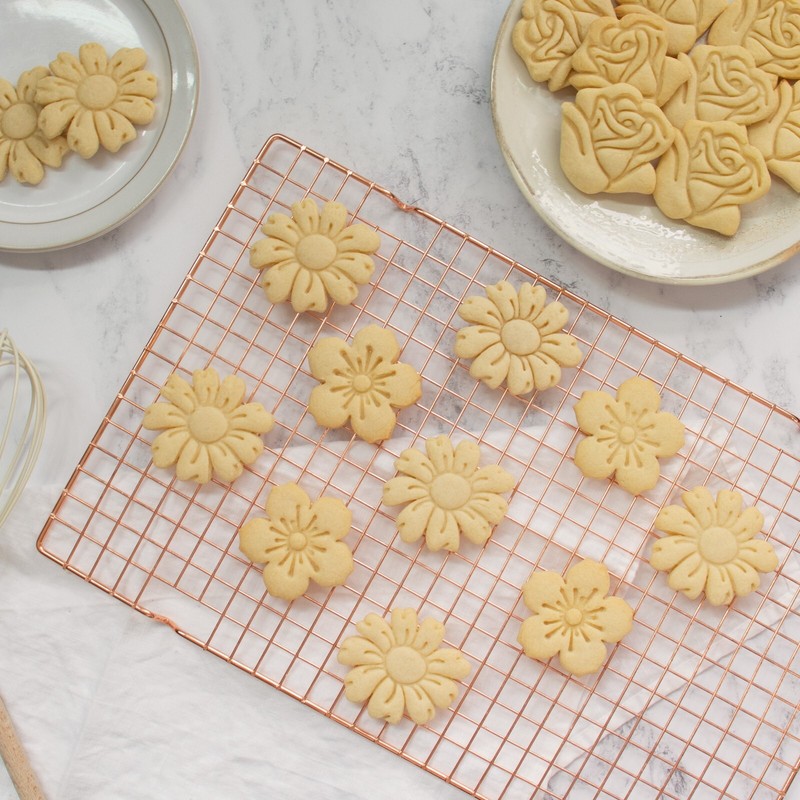 Daisy Cookie Cutter - flower floral garden English flora bridal shower botanic gallery
