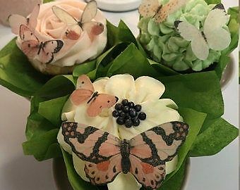 Pink Princess Mix Edible Butterflies – Cupcake and Cake Decorating