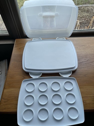 Large 18x14x5 Cupcake/Cake Holder Transporter Container With Handle
