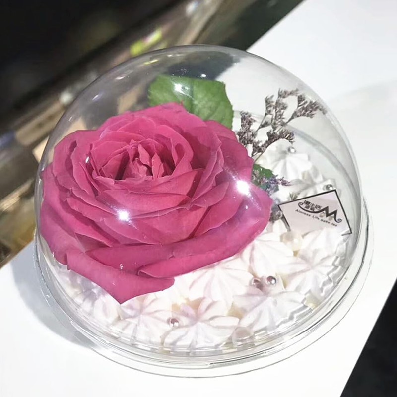 Clear Plastic Fillable Ornaments 350ml Cupcake 10pcs Mousse Cake Muffin Carri... gallery