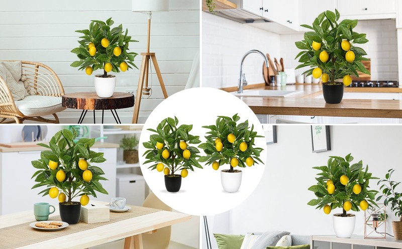 Artificial Potted Plants 16.1 inches Fake Oran Tree Artificial Citrus gallery
