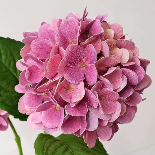 Hydrangea Artificial Flowers 4PCS 19.6 inch Silk Real Touch Latex Magenta gallery