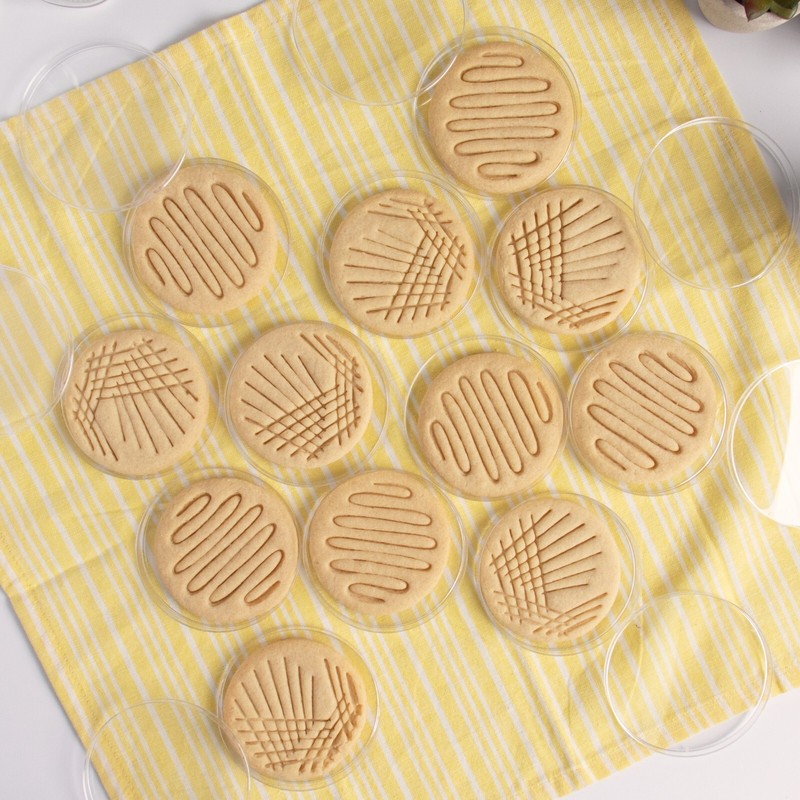 Set of 2 Petri Dish Cookie Cutters -Quadrant & Continuous Streak microbiology gallery