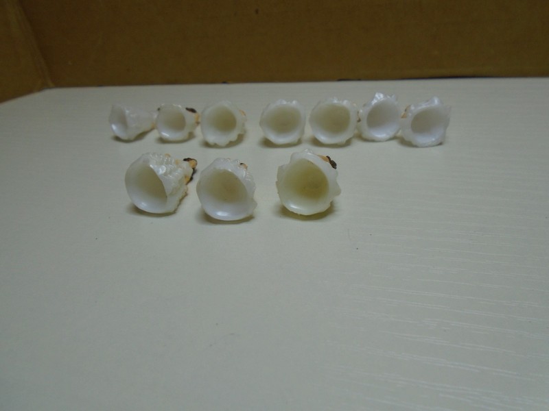 SET OF 10 VTG BRIDES WHITE DRESS MINIATURE 1" FIGURES CAKE TOPPERS UNBRANDED (VI gallery